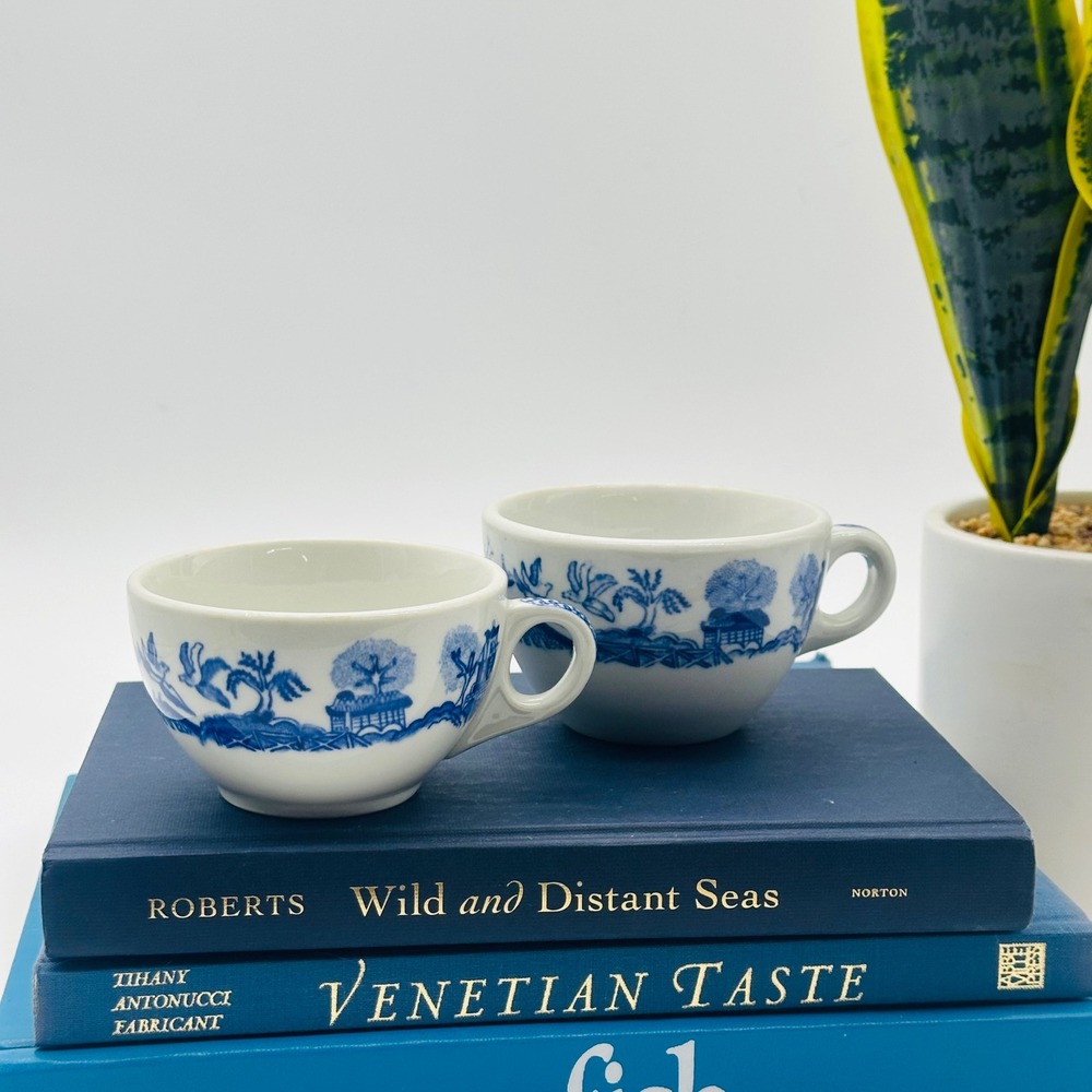 Jackson Vitrified China Blue Willow Landscape Tea Cups Set of 2